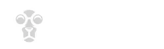 Paras Nettikasino 2026 – Suomen Parhaat Nettikasinot Nopeilla Nostoilla